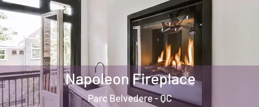  Napoleon Fireplace Parc Belvedere - QC