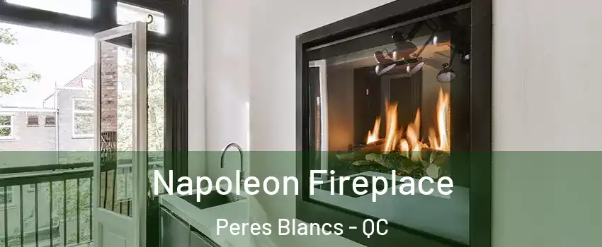  Napoleon Fireplace Peres Blancs - QC