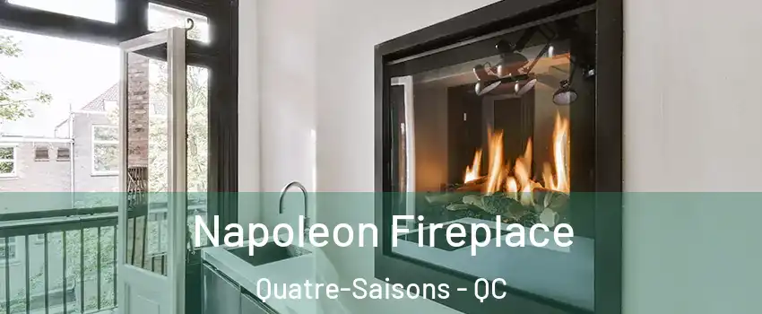  Napoleon Fireplace Quatre-Saisons - QC