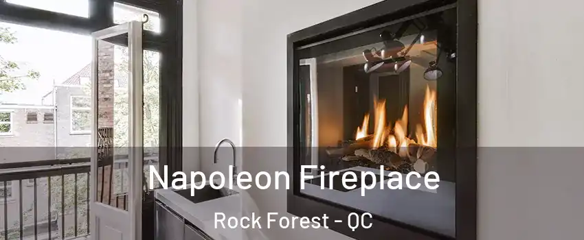  Napoleon Fireplace Rock Forest - QC