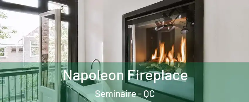  Napoleon Fireplace Seminaire - QC
