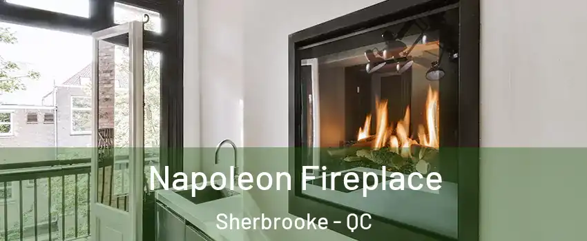  Napoleon Fireplace Sherbrooke - QC