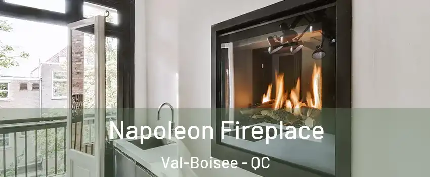  Napoleon Fireplace Val-Boisee - QC