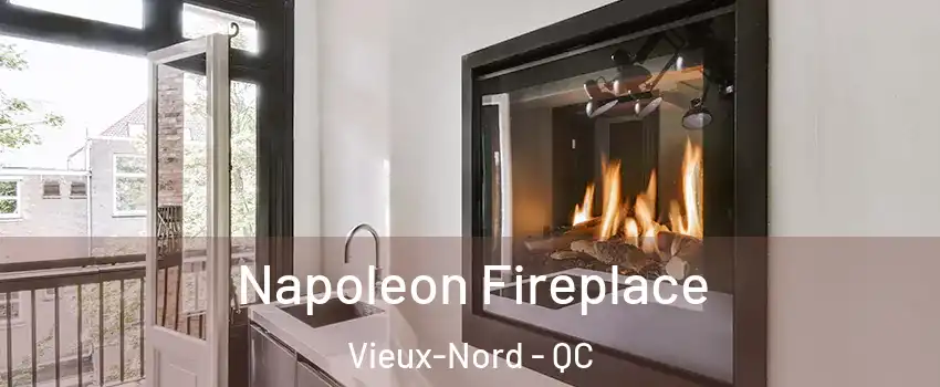 Napoleon Fireplace Vieux-Nord - QC