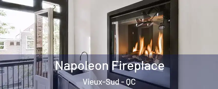  Napoleon Fireplace Vieux-Sud - QC