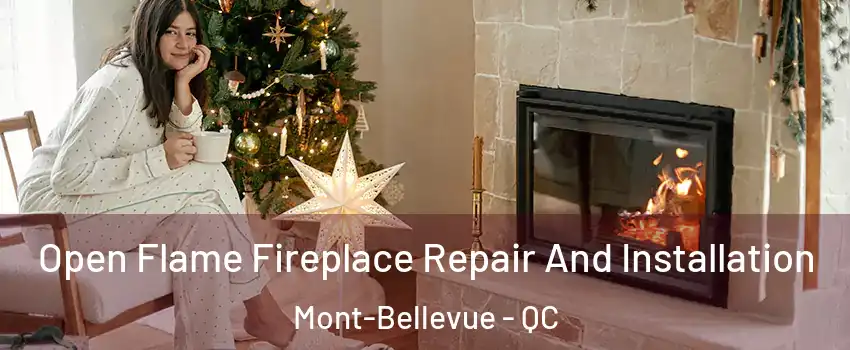 Open Flame Fireplace Repair And Installation Mont-Bellevue - QC