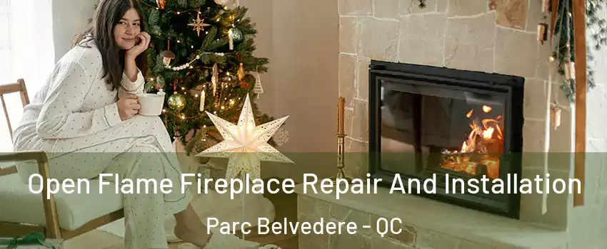  Open Flame Fireplace Repair And Installation Parc Belvedere - QC