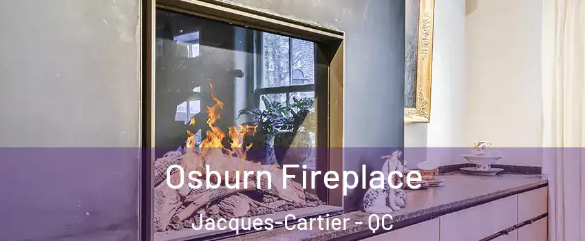  Osburn Fireplace Jacques-Cartier - QC