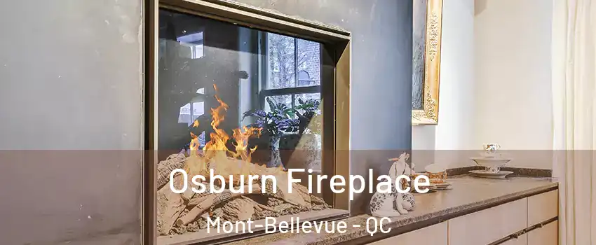  Osburn Fireplace Mont-Bellevue - QC
