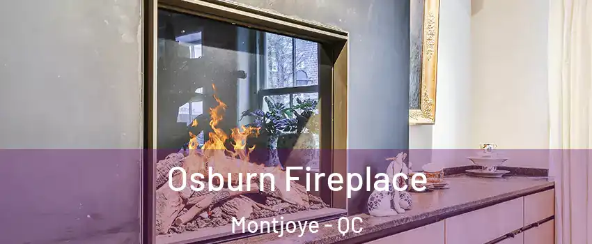  Osburn Fireplace Montjoye - QC