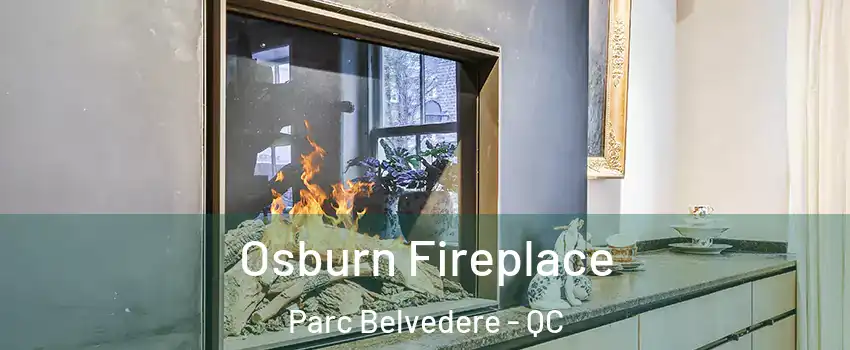  Osburn Fireplace Parc Belvedere - QC