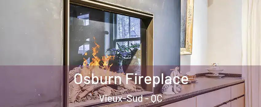  Osburn Fireplace Vieux-Sud - QC
