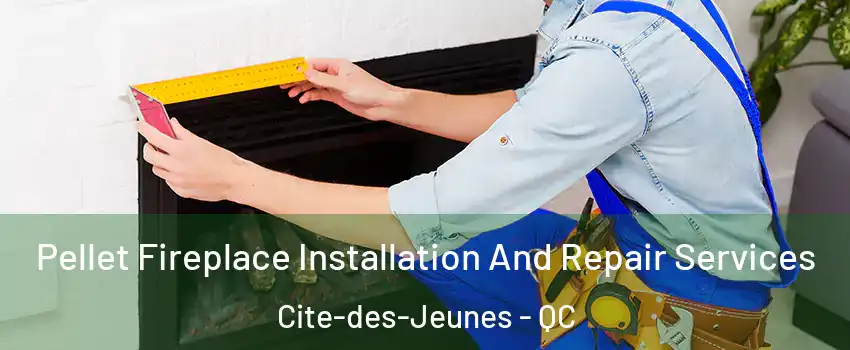  Pellet Fireplace Installation And Repair Services Cite-des-Jeunes - QC