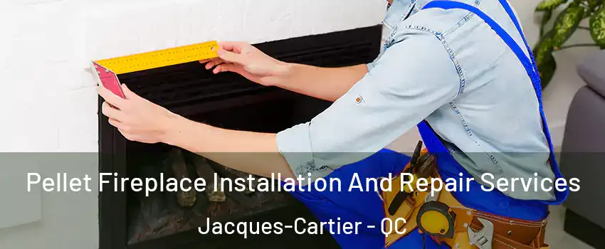  Pellet Fireplace Installation And Repair Services Jacques-Cartier - QC