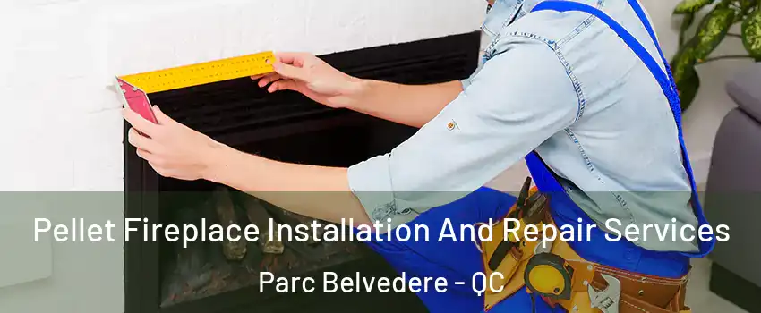  Pellet Fireplace Installation And Repair Services Parc Belvedere - QC