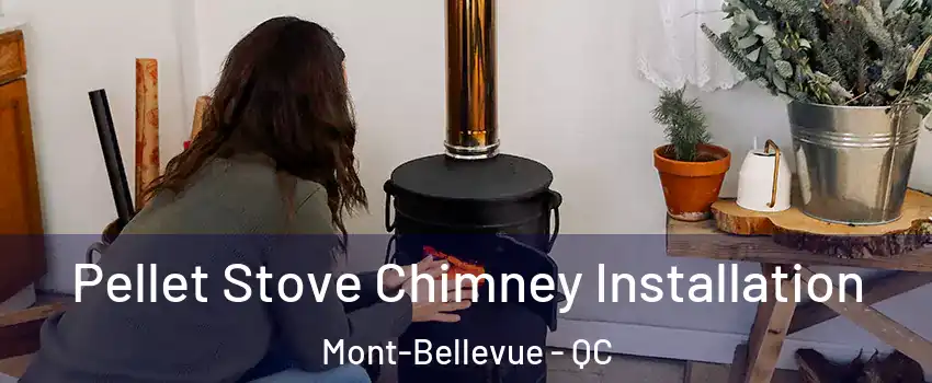  Pellet Stove Chimney Installation Mont-Bellevue - QC