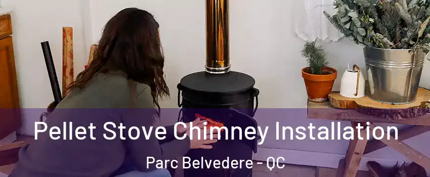  Pellet Stove Chimney Installation Parc Belvedere - QC