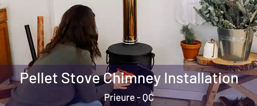  Pellet Stove Chimney Installation Prieure - QC