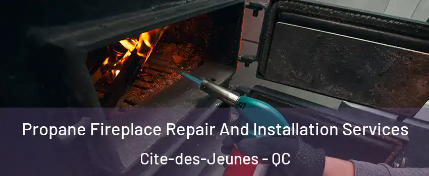 Propane Fireplace Repair And Installation Services Cite-des-Jeunes - QC