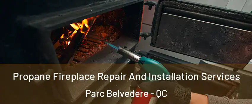 Propane Fireplace Repair And Installation Services Parc Belvedere - QC