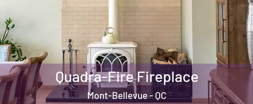  Quadra-Fire Fireplace Mont-Bellevue - QC