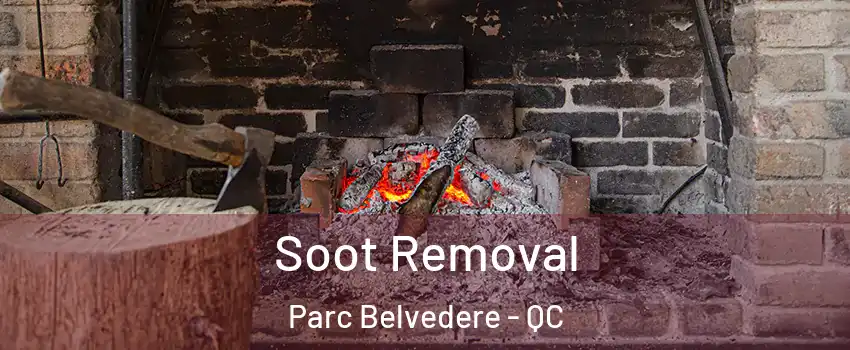  Soot Removal Parc Belvedere - QC