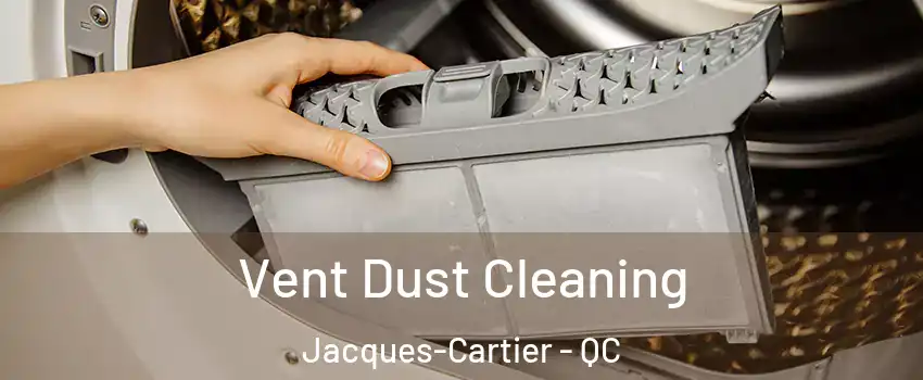  Vent Dust Cleaning Jacques-Cartier - QC