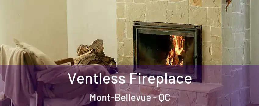  Ventless Fireplace Mont-Bellevue - QC