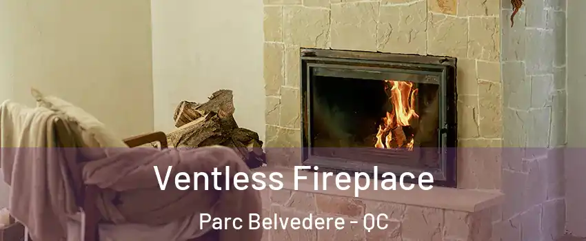  Ventless Fireplace Parc Belvedere - QC