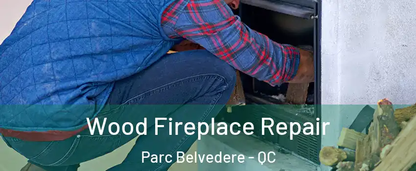 Wood Fireplace Repair Parc Belvedere - QC