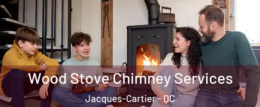  Wood Stove Chimney Services Jacques-Cartier - QC
