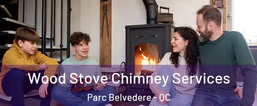  Wood Stove Chimney Services Parc Belvedere - QC