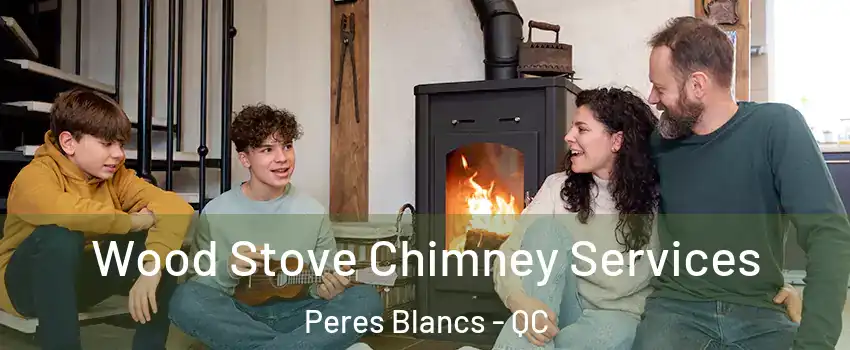 Wood Stove Chimney Services Peres Blancs - QC