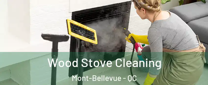  Wood Stove Cleaning Mont-Bellevue - QC