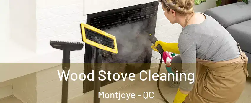  Wood Stove Cleaning Montjoye - QC