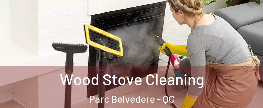  Wood Stove Cleaning Parc Belvedere - QC
