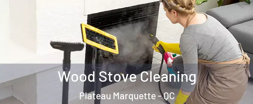  Wood Stove Cleaning Plateau Marquette - QC