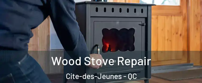  Wood Stove Repair Cite-des-Jeunes - QC