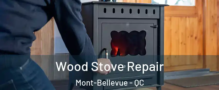  Wood Stove Repair Mont-Bellevue - QC