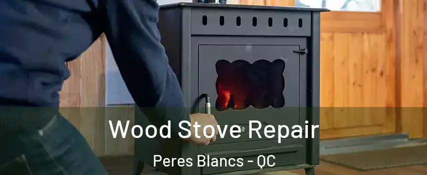  Wood Stove Repair Peres Blancs - QC