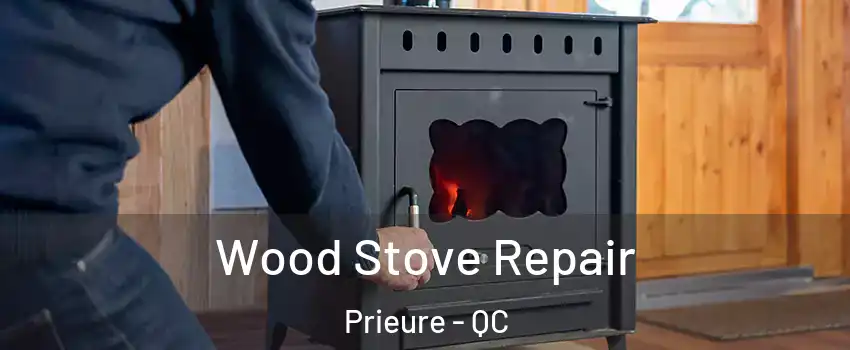  Wood Stove Repair Prieure - QC